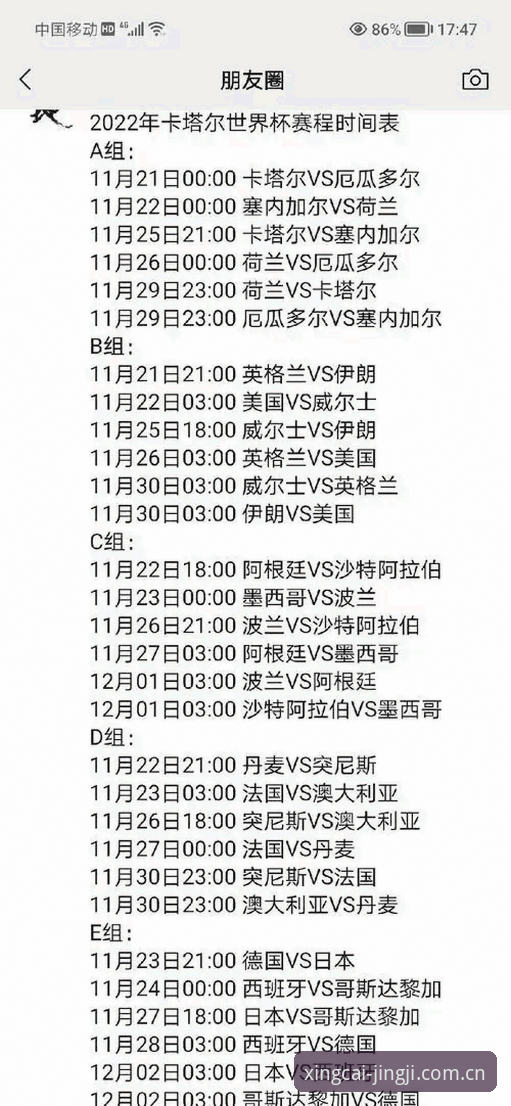 世界杯观赛必备知识：从签证困局看如何畅享顶级赛事