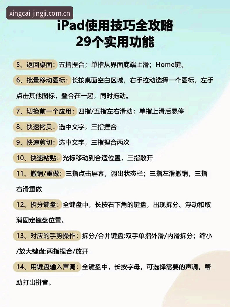 杏彩体育平台使用实用指南：从入门到精通的必备知识